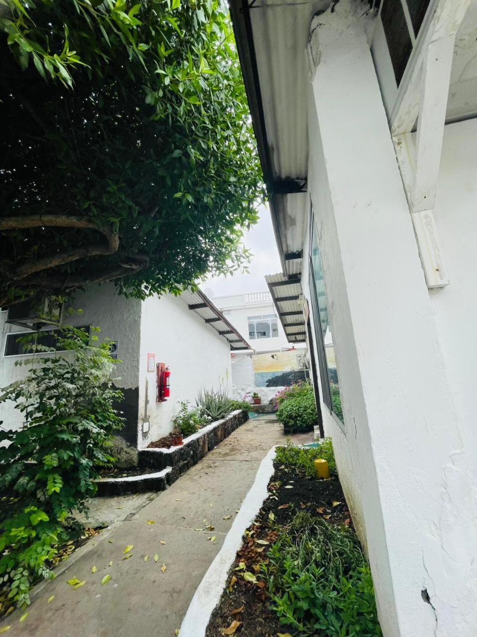 Hostal Darwin ปูแอร์โตอาโยรา ภายนอก รูปภาพ