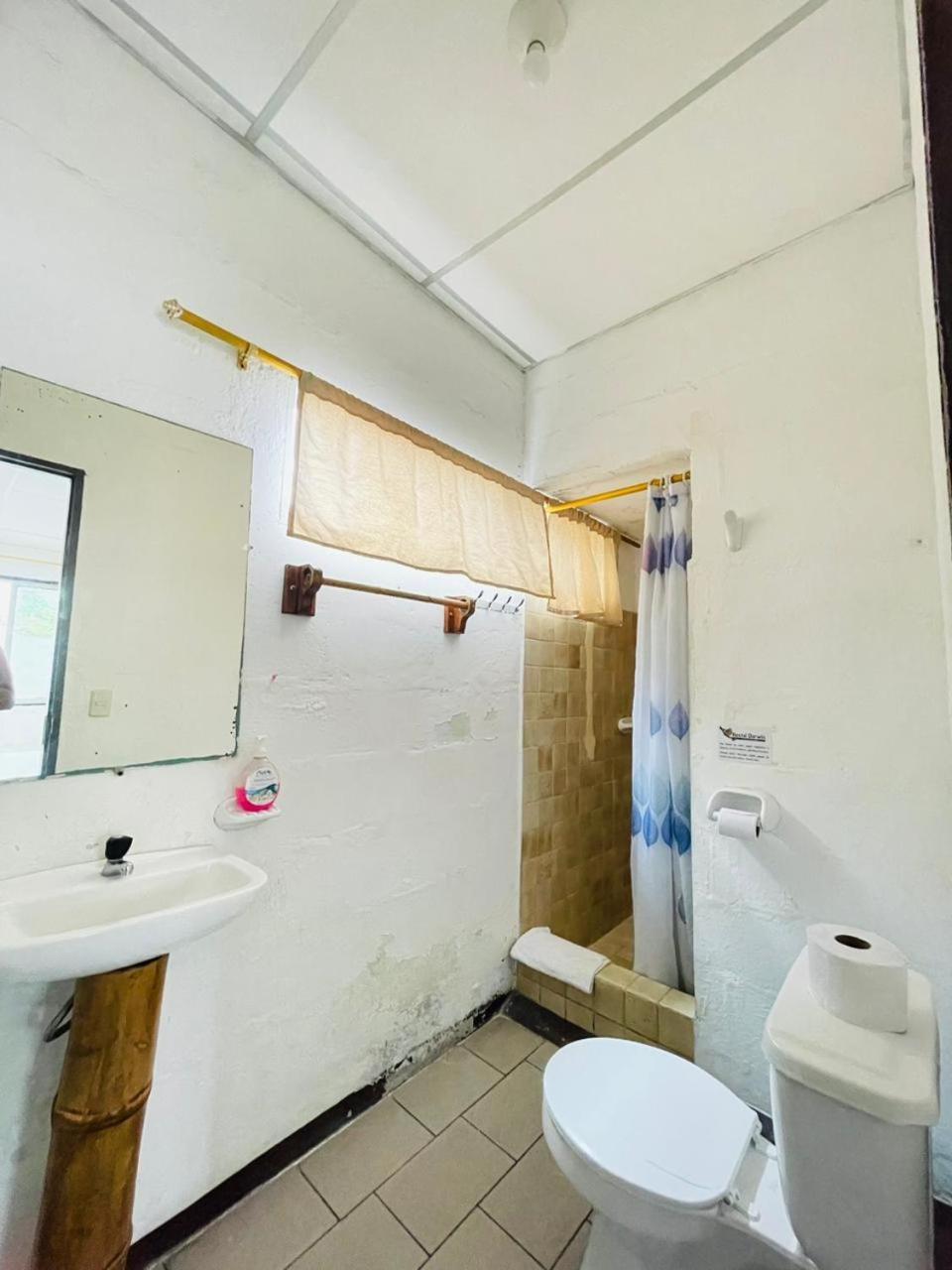 Hostal Darwin ปูแอร์โตอาโยรา ภายนอก รูปภาพ